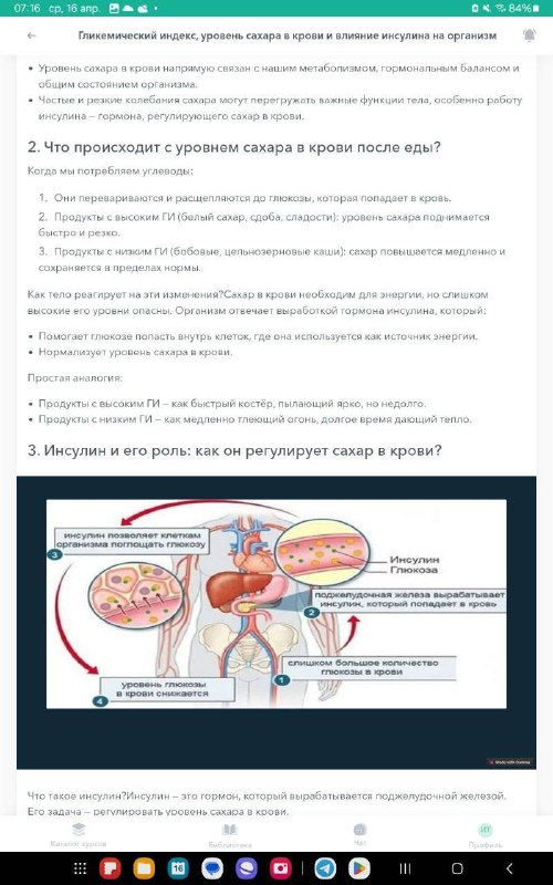 Энергетический баланс и механизмы изменения веса